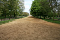 Rotten Row, Hyde Park