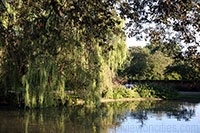 Regent's Park, London