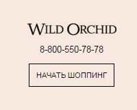 Wild Orchid